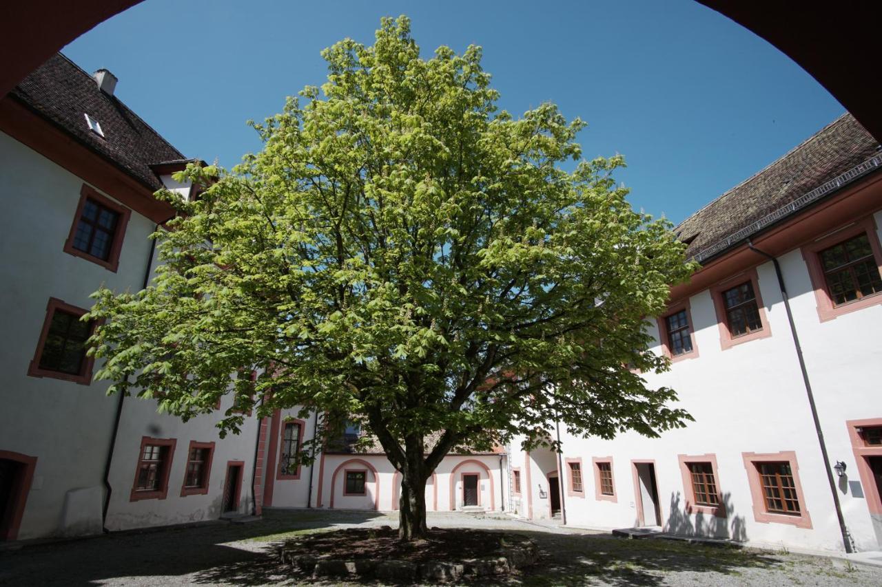 Hotel & Tagungszentrum Schloss Hohenfels Hohenfels  Exterior photo