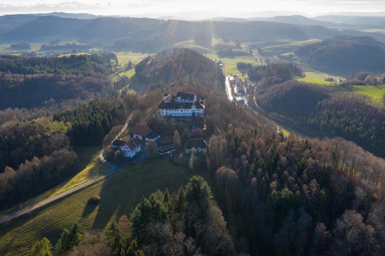 Hotel & Tagungszentrum Schloss Hohenfels Hohenfels  Exterior photo